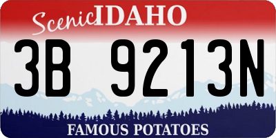 ID license plate 3B9213N