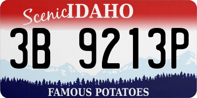 ID license plate 3B9213P