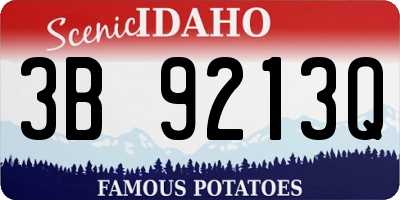 ID license plate 3B9213Q