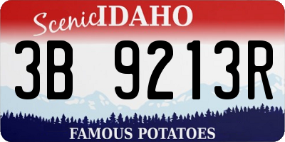 ID license plate 3B9213R