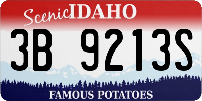 ID license plate 3B9213S