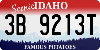 ID license plate 3B9213T
