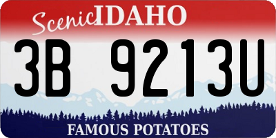 ID license plate 3B9213U