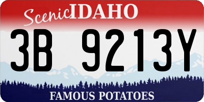 ID license plate 3B9213Y