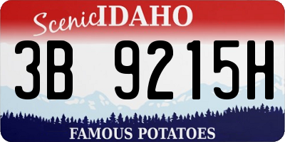 ID license plate 3B9215H