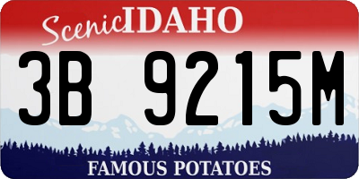 ID license plate 3B9215M