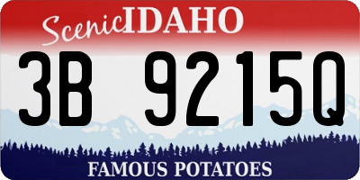 ID license plate 3B9215Q