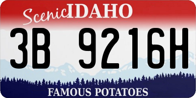 ID license plate 3B9216H