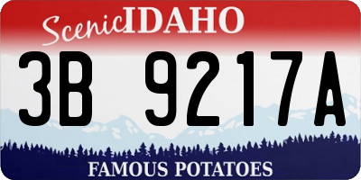 ID license plate 3B9217A