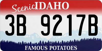 ID license plate 3B9217B