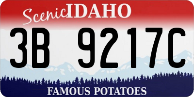 ID license plate 3B9217C