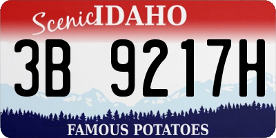ID license plate 3B9217H