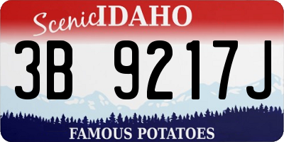 ID license plate 3B9217J