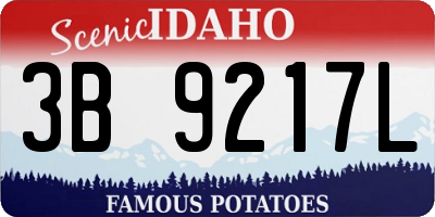 ID license plate 3B9217L