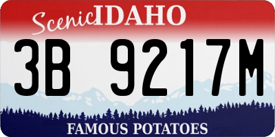 ID license plate 3B9217M