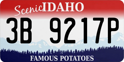 ID license plate 3B9217P