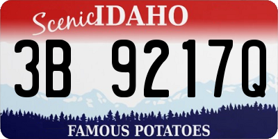 ID license plate 3B9217Q
