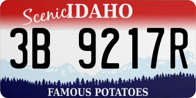 ID license plate 3B9217R