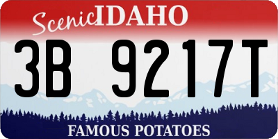 ID license plate 3B9217T