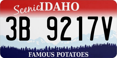 ID license plate 3B9217V