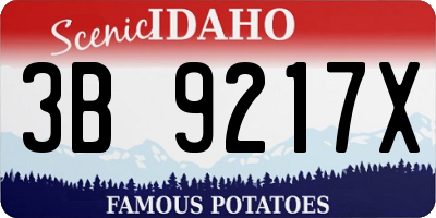 ID license plate 3B9217X