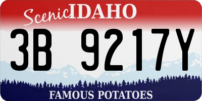 ID license plate 3B9217Y