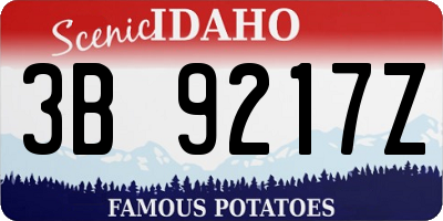 ID license plate 3B9217Z