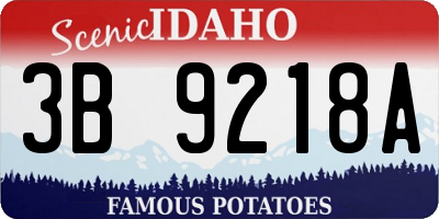ID license plate 3B9218A