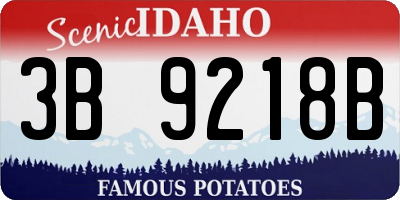 ID license plate 3B9218B