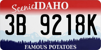 ID license plate 3B9218K