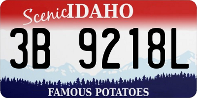ID license plate 3B9218L