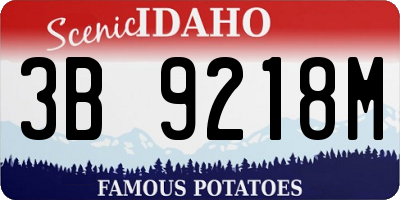 ID license plate 3B9218M