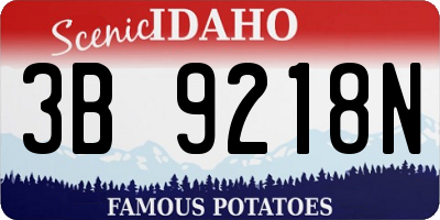 ID license plate 3B9218N