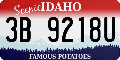 ID license plate 3B9218U