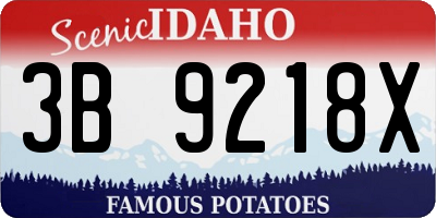 ID license plate 3B9218X