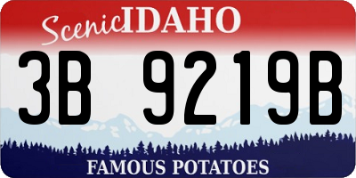 ID license plate 3B9219B