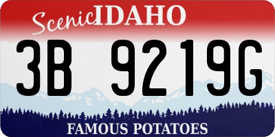 ID license plate 3B9219G