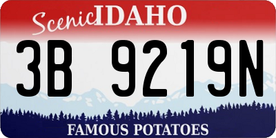 ID license plate 3B9219N