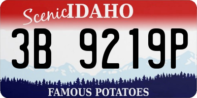ID license plate 3B9219P