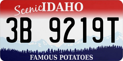 ID license plate 3B9219T