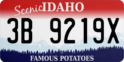 ID license plate 3B9219X