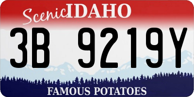 ID license plate 3B9219Y