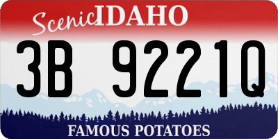 ID license plate 3B9221Q