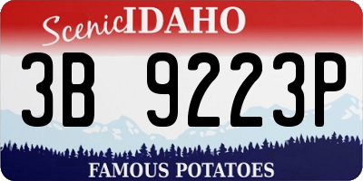 ID license plate 3B9223P