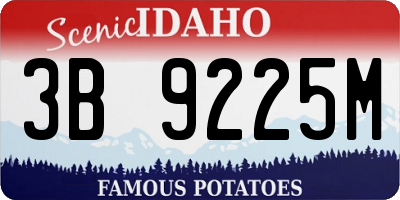ID license plate 3B9225M