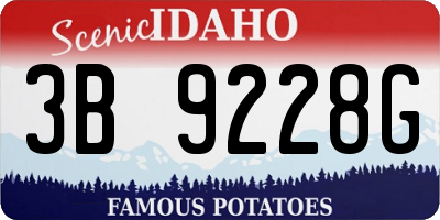 ID license plate 3B9228G
