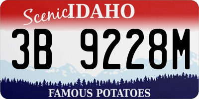 ID license plate 3B9228M