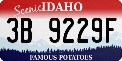 ID license plate 3B9229F