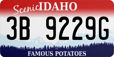 ID license plate 3B9229G