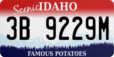 ID license plate 3B9229M